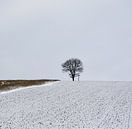 Together Lonely von Lena Weisbek Miniaturansicht