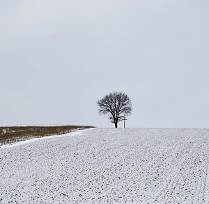 Together Lonely