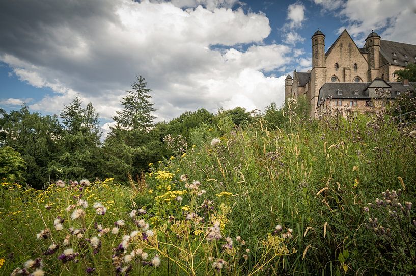 Summer meadow at Marburg Castle by Jürgen Schmittdiel Photography