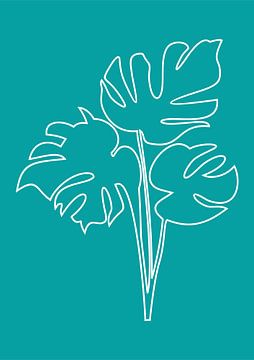 Minimalist Nature & Abstract Illustration Collection