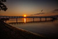 Zonsopgang aan de Bodensee