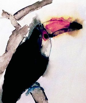 Toucan van Kay Weber