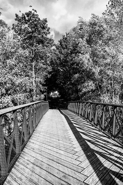 Line play by Norbert Erinkveld