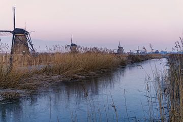 Moulins près de Kinderdijk sur Maja Mars