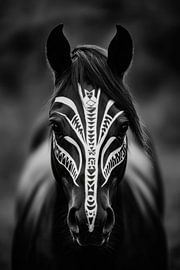 Zebra-Pferd im Schwarz-Weiß von Poster Art Shop