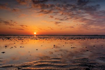 Oosterschelde National Park by Ria Overbeeke