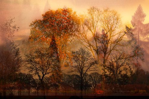 Seasonal