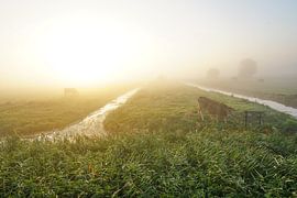 Weiland in de mist by Dirk van Egmond