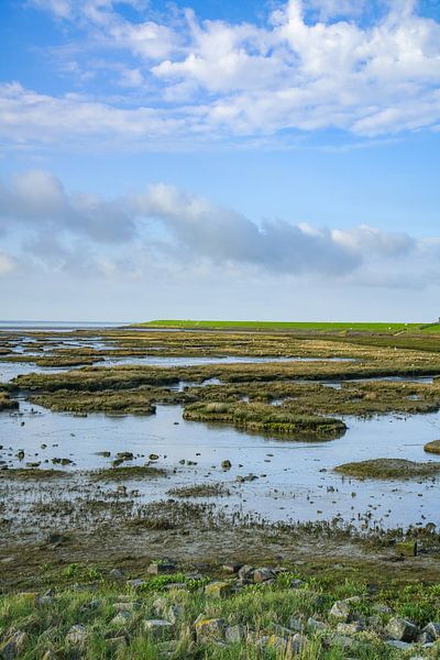 Wad bei Terschelling von Dirk van Egmond