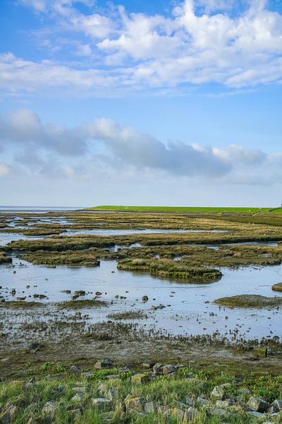 Wad bij Terschelling van Dirk van Egmond