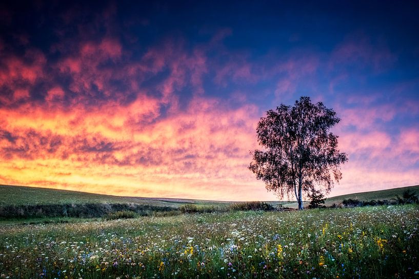 Burning sky over flower filelds van Ruud Peters