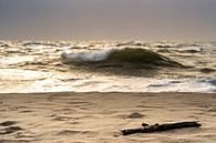Beach by Stephan Zaun thumbnail