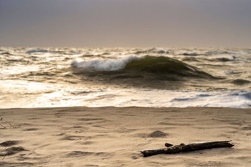 Beach by Stephan Zaun