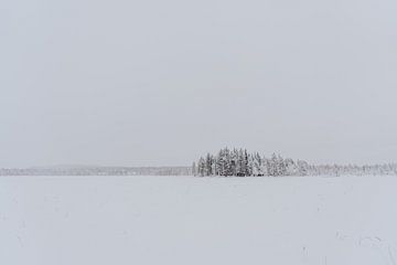 Paysage d'hiver arctique : île dans un lac enneigé