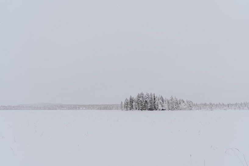 Paysage d'hiver arctique : île dans un lac enneigé par sonja koning