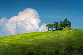 Groupe d'arbres sur une colline verdoyante avec un gros nuage, Castelfalfi, Toscane sur Stefano Orazzini