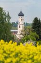 Town Attenweiler in spring with rape field by Daniel Pahmeier thumbnail