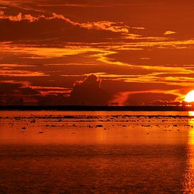 Spectaculaire zonsondergang van Aisja Aalbers