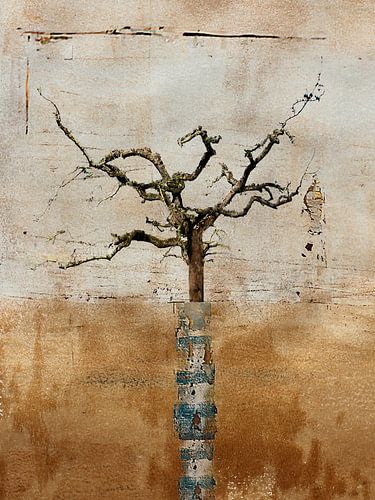 Obstbaum blau-weißer Stamm