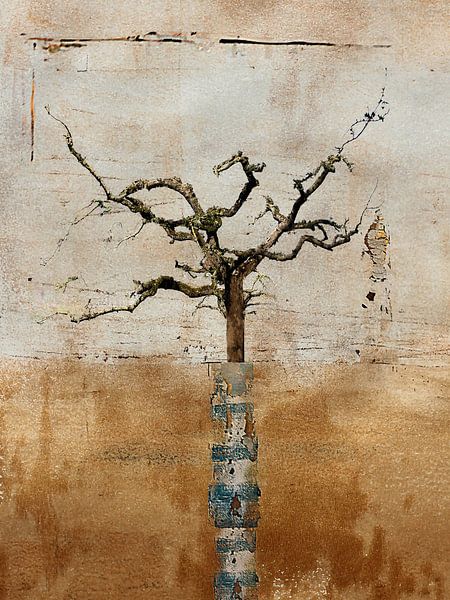 Fruit tree blue white trunk by Esther Wijntje