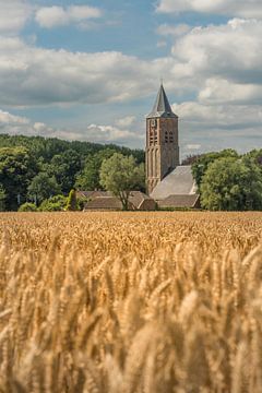 Graanveld bij Stefanuskerk in Zoelen