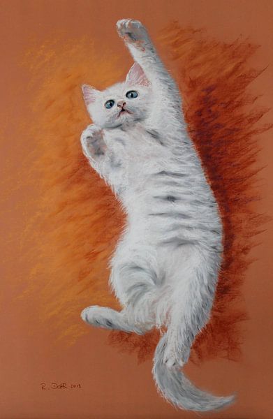 White Cat by Renate Dohr