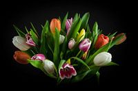 Stilleven Tulpen: bosje gekleurde tulpjes