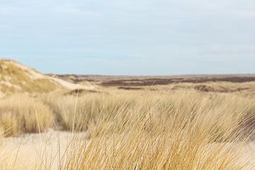 Enjoying the dunes by Annelou de Man