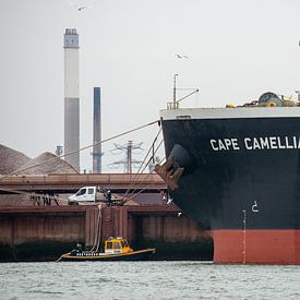 The rowers are hard at work by scheepskijkerhavenfotografie