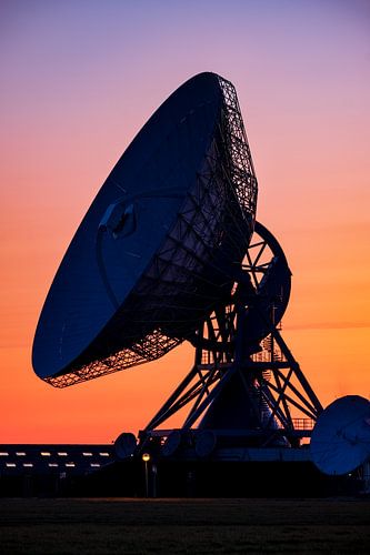 The large ear in Burum, Friesland