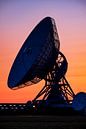The large ear in Burum, Friesland by Evert Jan Luchies thumbnail