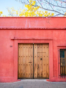 Die Oaxaca-Tür von Raisa Zwart Reisefotografiedrucke