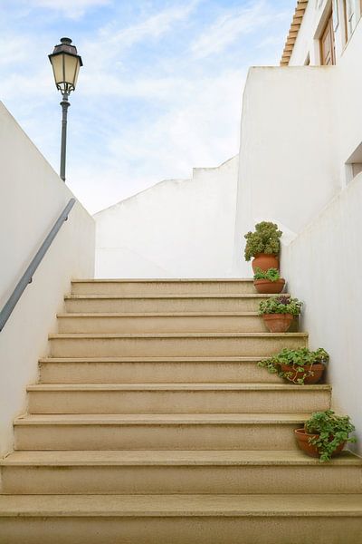 Stairs with plants and lantern in Portugal by Annette Hagemeijer