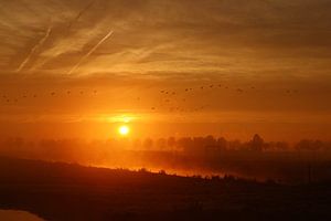 Zonsopkomst by t de bruin