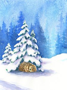 Schlafender Igel im Winter