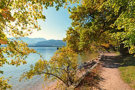 Herbst in Gmunden am Traunsee von SusaZoom