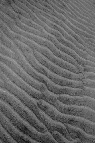 Dünen - Schwarz-Weiß