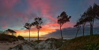 West Beach Romanticism