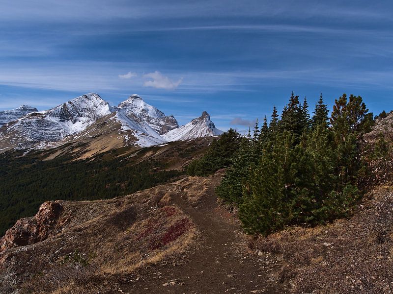 Wanderung über das Parker Ridge von Timon Schneider