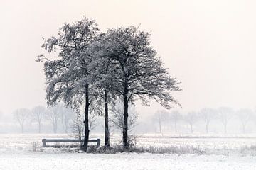 Winterlandschap #1 van Ruud de Soet
