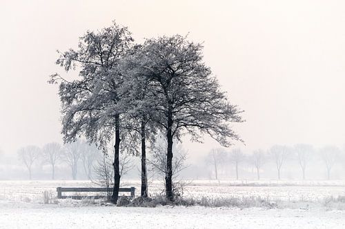 Winterlandschap #1
