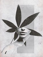 Blad Vrouwen