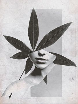 Blad Vrouwen van Nurwakhid Muhamad
