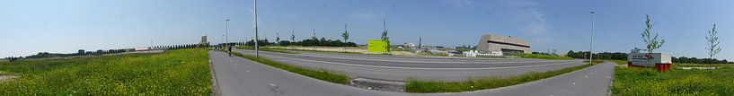 Gele Bloemen Rood Dak Hoge Weide 07Juli13 par Leidse Rijn Centrum en omstreken