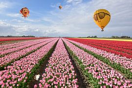 Surrealistische Landschaft von Henk de Boer