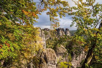 Blick auf Felsen und Bäume in der Sächsische Schweiz