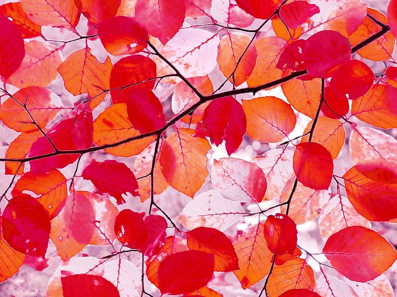 Arty Autumn (Kunstzinnige Herfst) van Caroline Lichthart