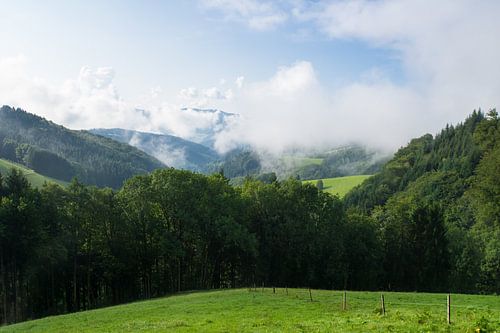 Duitsland, Zwarte Woud, Groene weide met bomen en heuvelachtig landschap