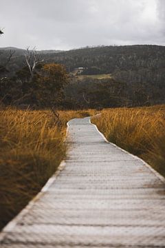 Cradle Mountain: Tasmanien's atemberaubende Wildnis von Ken Tempelers