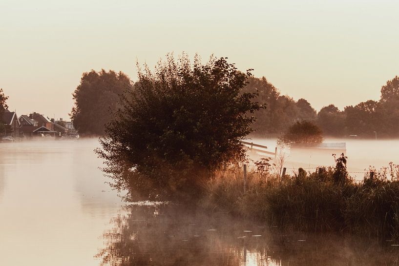 Beautiful misty morning in Hoogmade by Anne Zwagers